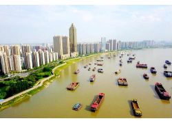 芜湖市地理信息产业与航空产业专题座谈会在湾沚区召开