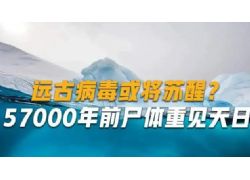 科学家“复活”48500年前的病毒