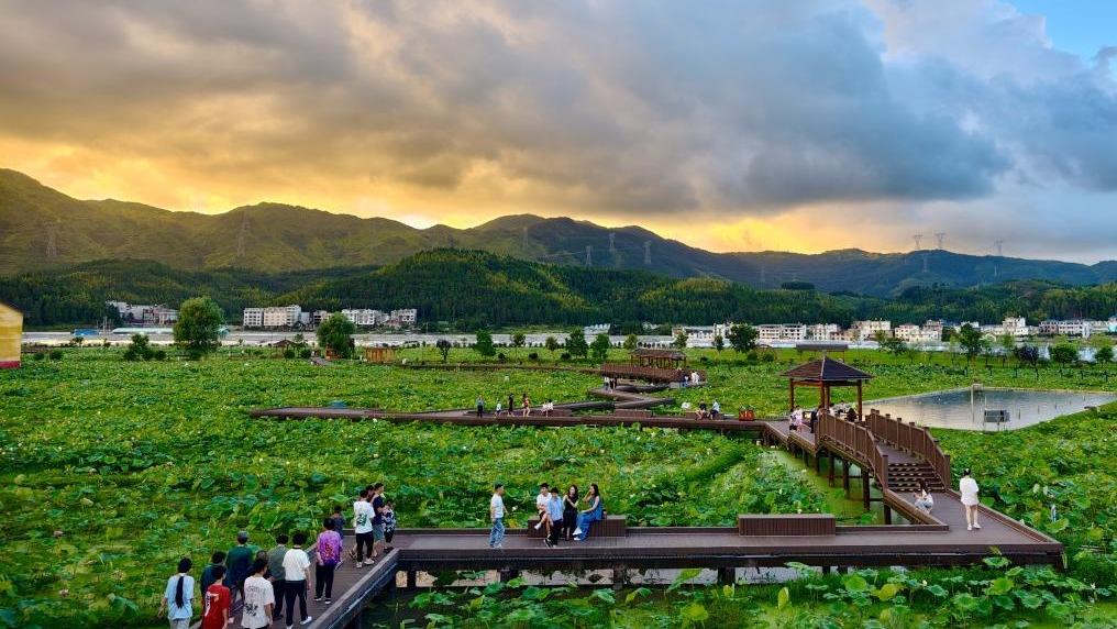 文化中国行｜传统村落浦源村：赓续800年的“人鱼同乐”佳话